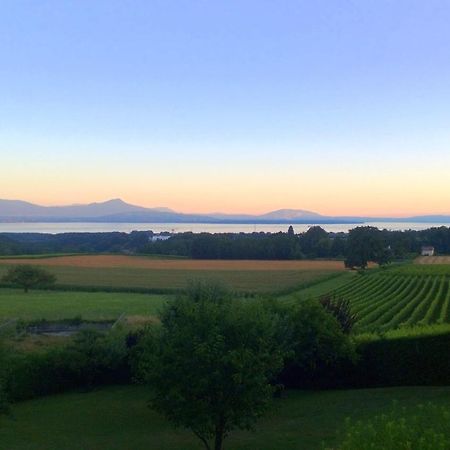 Le Chateau Lavigny Luaran gambar