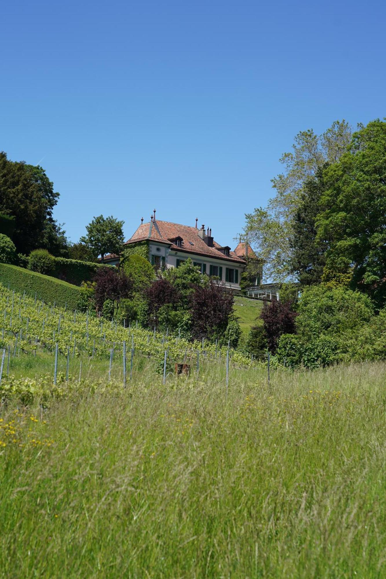 Le Chateau Lavigny Luaran gambar